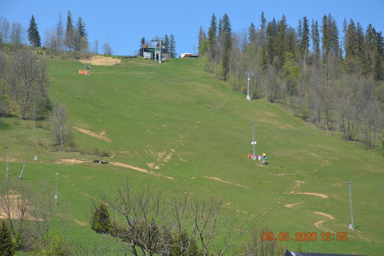 Willa Wiktoria 2 Zakopane Extérieur photo