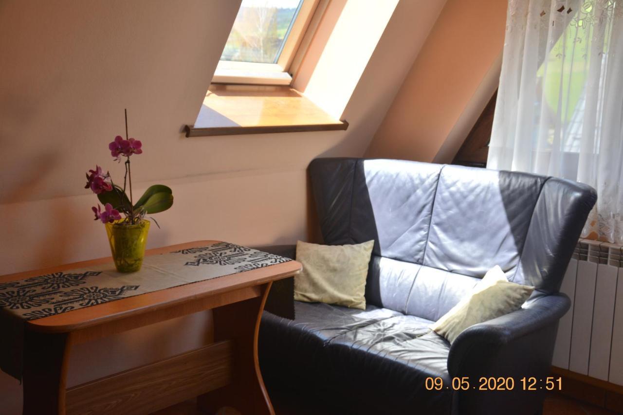 Willa Wiktoria 2 Zakopane Extérieur photo