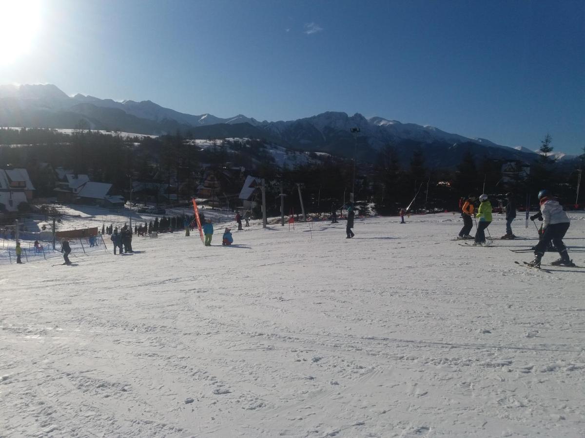 Willa Wiktoria 2 Zakopane Extérieur photo